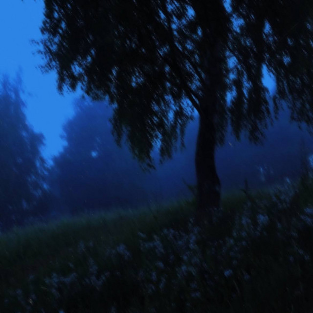 Silence cover art