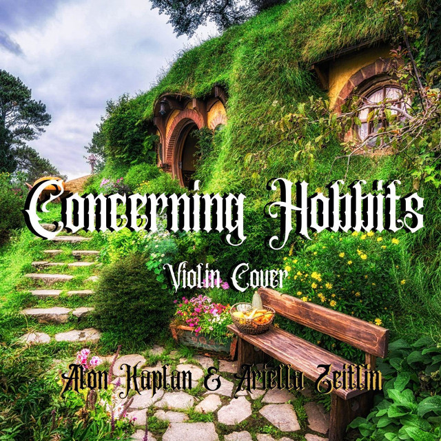 Concerning Hobbits (Violin Cover) album image