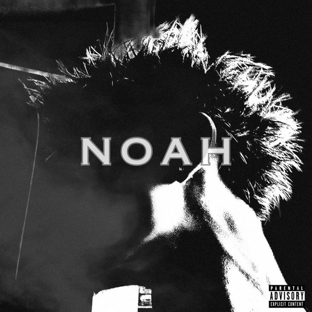 NOAH cover art