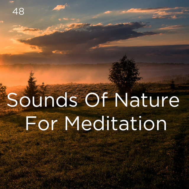 48 Sounds Of Nature For Meditation - Album by Deep Sleep | Spotify