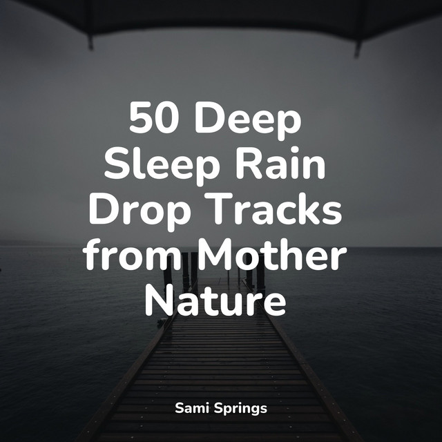50 Soothing Rain Sounds for Sleep and Healing - Album by Meditation Zen ...