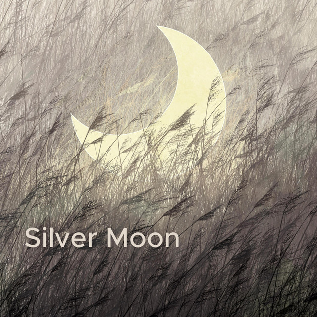 Silver Moon (Relax Saxophone Mix)
