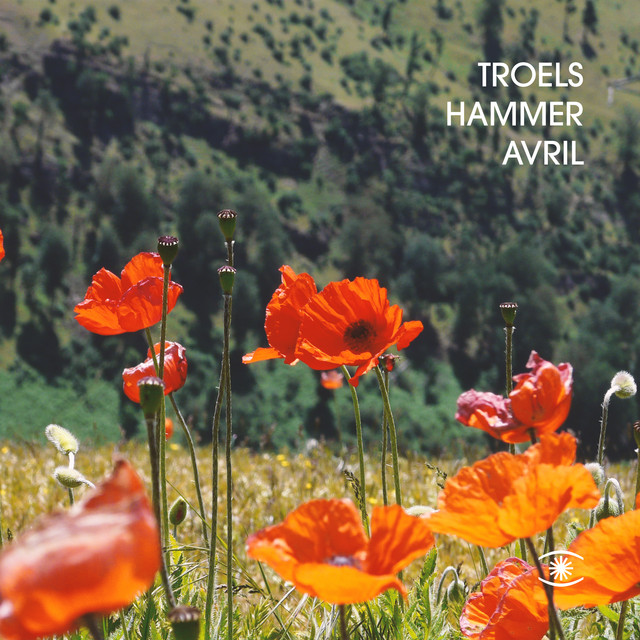 Обкладинка: Avril 14th — Troels Hammer