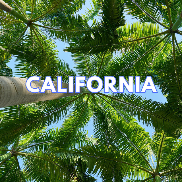 Dudek P56 - California