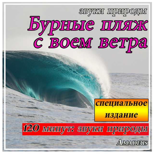 Бурные пляж с воем ветра: звуки природы: специальное издание cover art