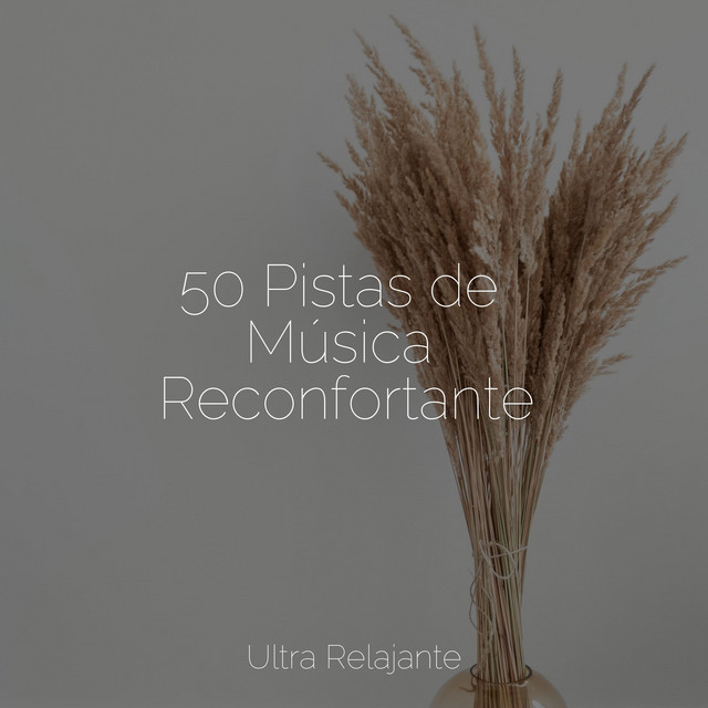 50 Pistas de Música Reconfortante cover art