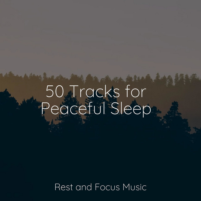 50 Tracks for Peaceful Sleep - Album by White Noise Sound Garden | Spotify