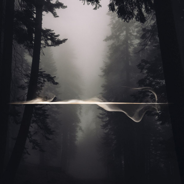 Inside cover art
