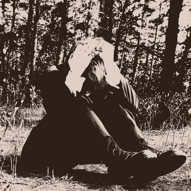 Transyldelphia cover art