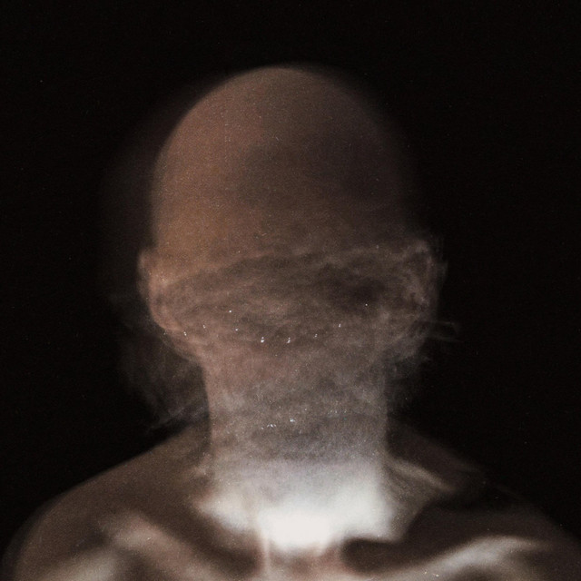 The Grey Zone Phobia cover art