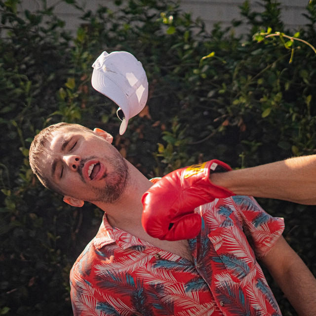 Punch Me in the Face cover art