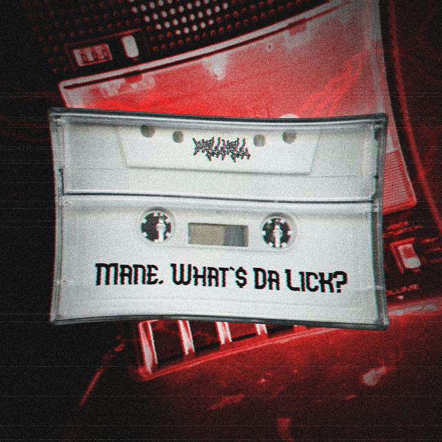 Обкладинка: Mane, What's Da Lick? — WELLHELL