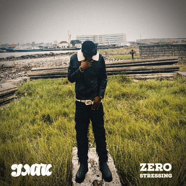 Zero Stressing cover art