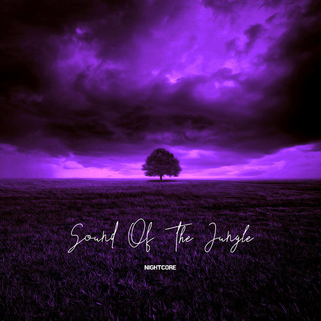 Sound of the Jungle