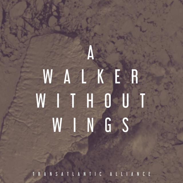 A Walker Without Wings (single)