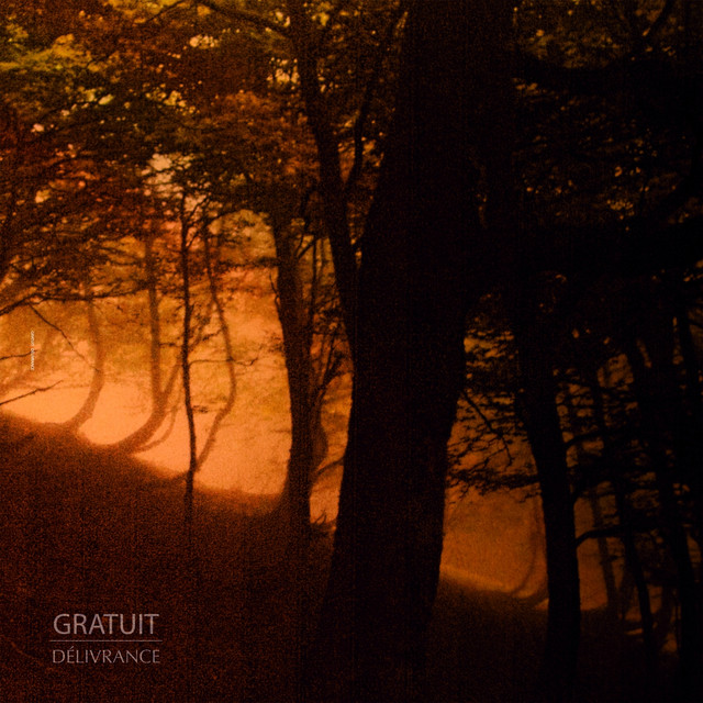 Gratuit Photo