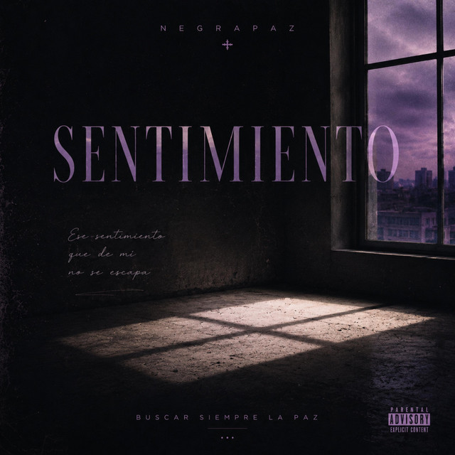 Sentimiento album image