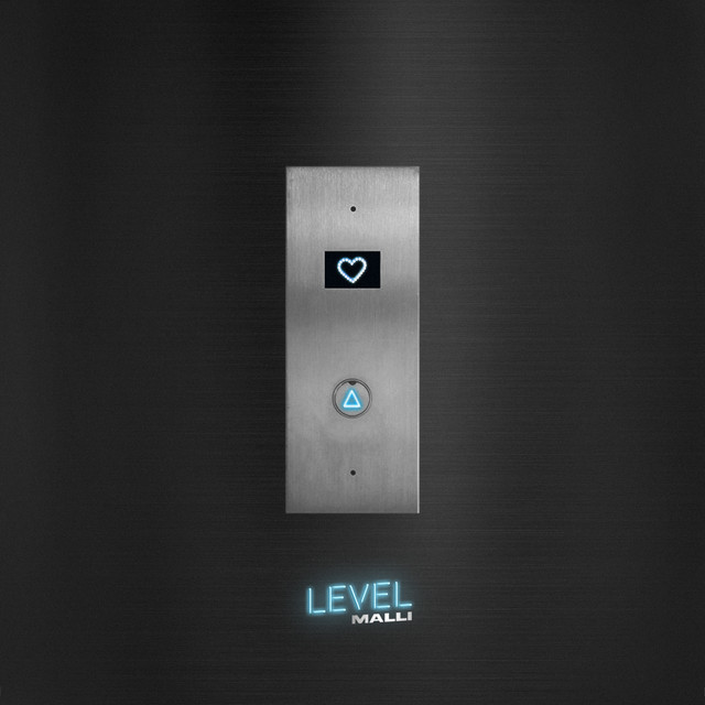 Level cover art