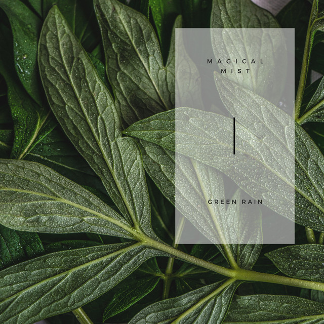 Magical Mist cover art