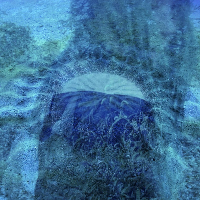 feel like, nevermind cover art