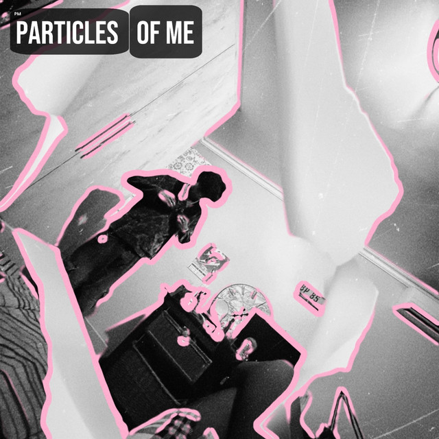 particles of me cover art