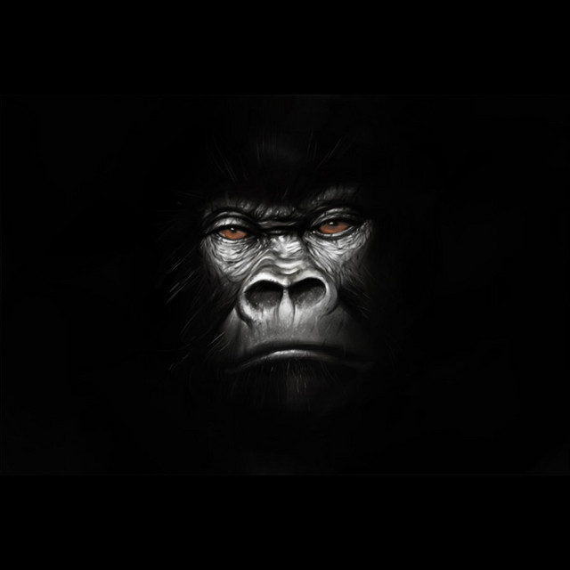 Harambe cover art