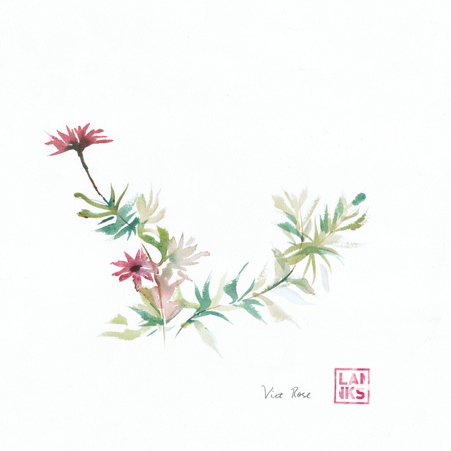 Viet Rose cover art