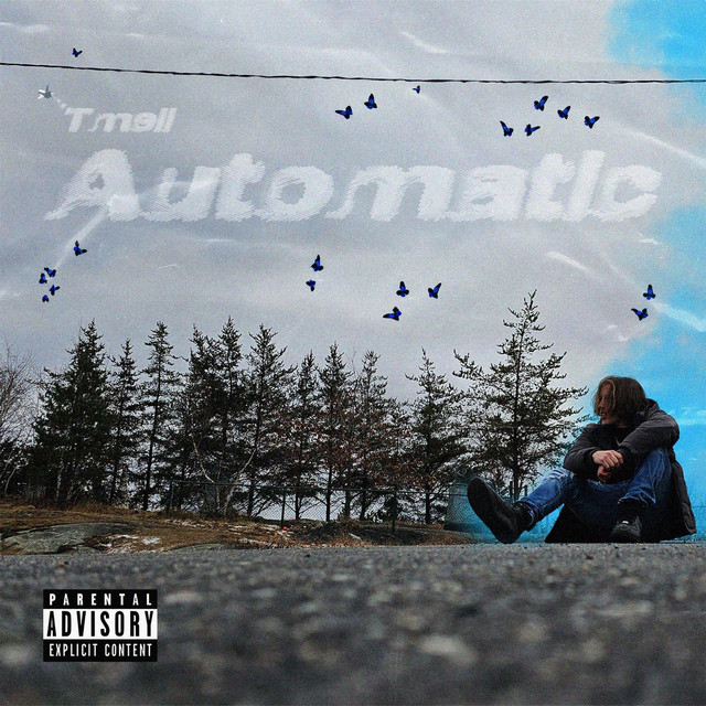 Automatic cover art