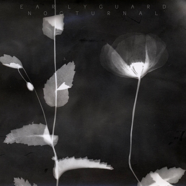 Nocturnal cover