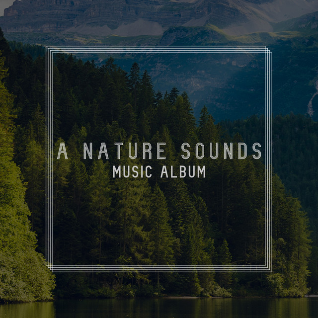 A Nature Sounds Music Album - Compilation by Various Artists | Spotify