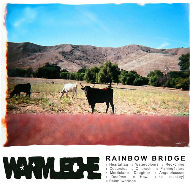 Rainb0wbridge
