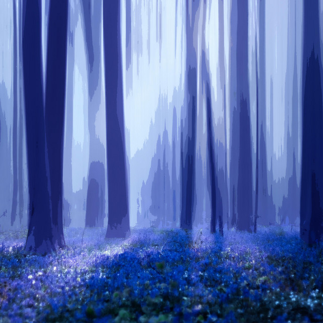 Hypnotic Woods cover art