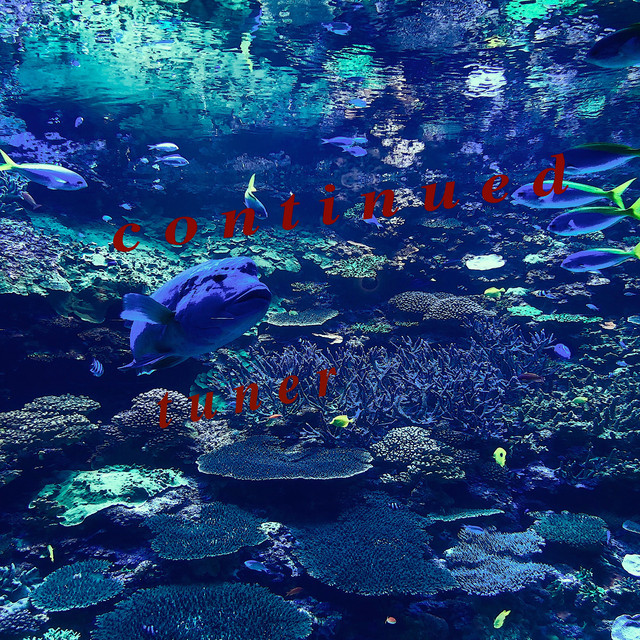 continued cover art