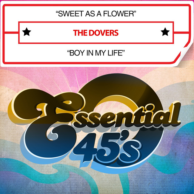 Sweet as a Flower / Boy in My Life (Digital 45) cover