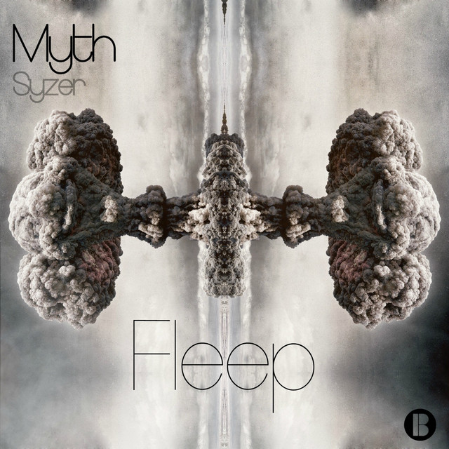 Fleep cover art