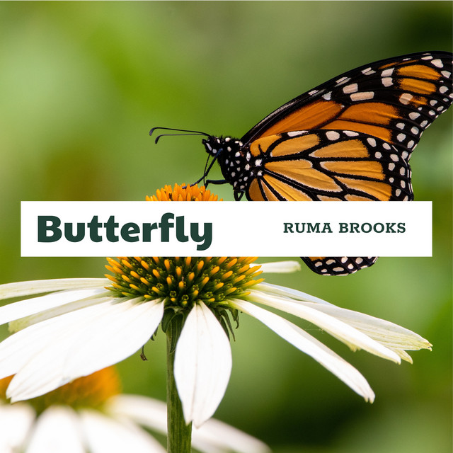 Butterfly cover art