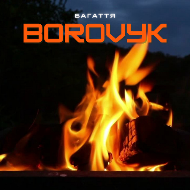 Обкладинка: Багаття — BOROVYK