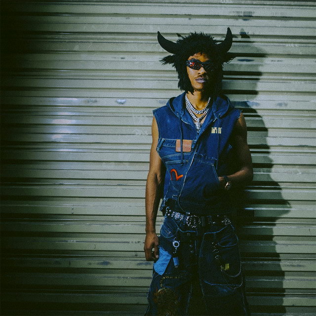 album image