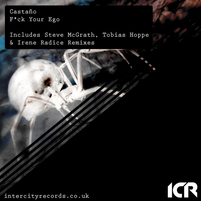 f.y.e - Irene Radice Remix cover art