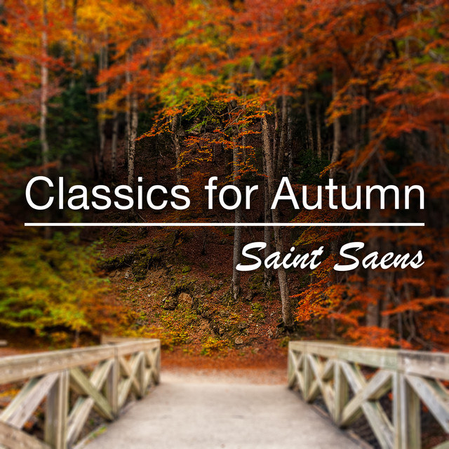 Symphony No. 3 in C Minor, Op. 78 "Organ Symphony": Ib. Poco adagio