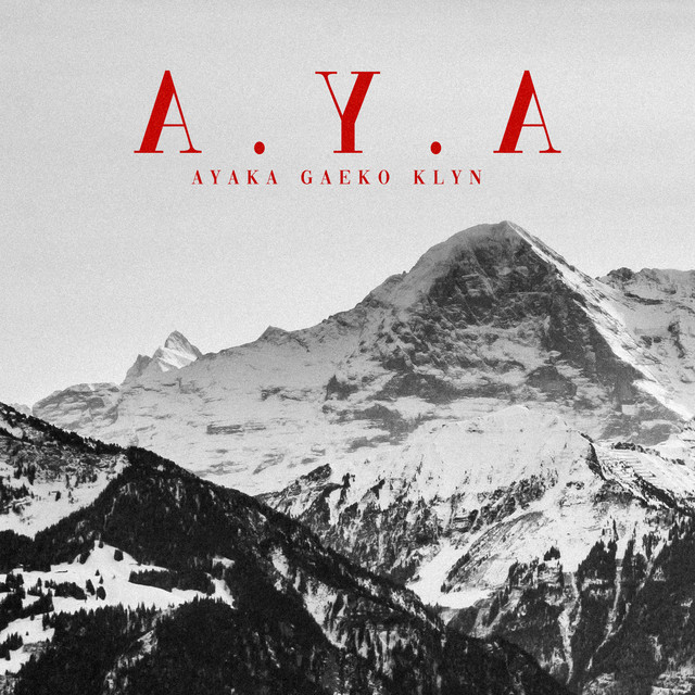 A.Y.A cover art