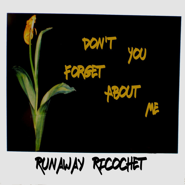 Don't You (Forget About Me) cover