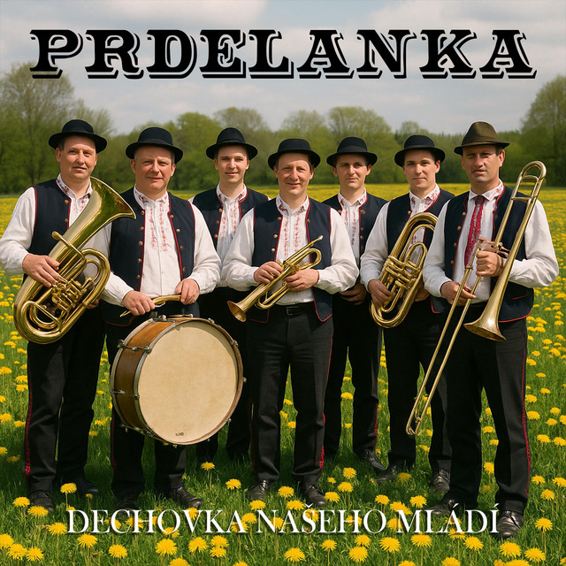 Dechovka Našeho Mládí cover art