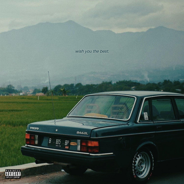 wish you the best cover art