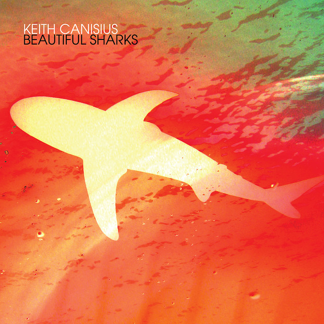 Beautiful Sharks cover art