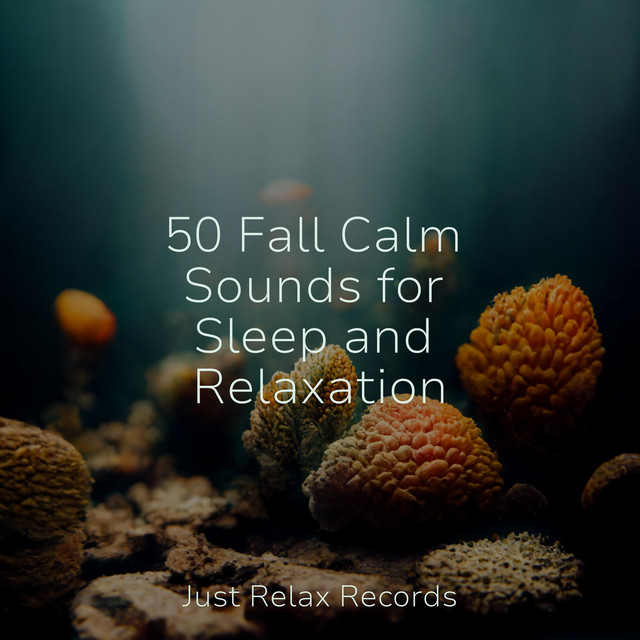 50 Fall Calm Sounds for Sleep and Relaxation - Album by CANCIONES DE ...