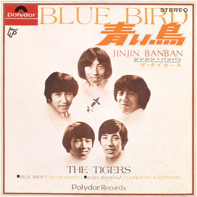 青い鳥／ジンジン・バンバン cover