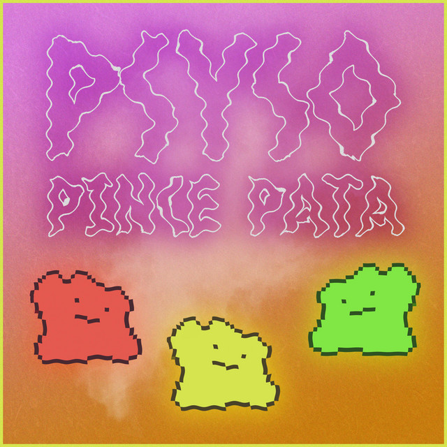 PINCE PATA cover