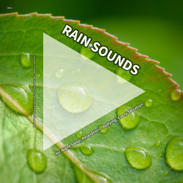 #01 Rain Sounds for Night Sleep, Relaxation, Studying, Every Situation cover art
