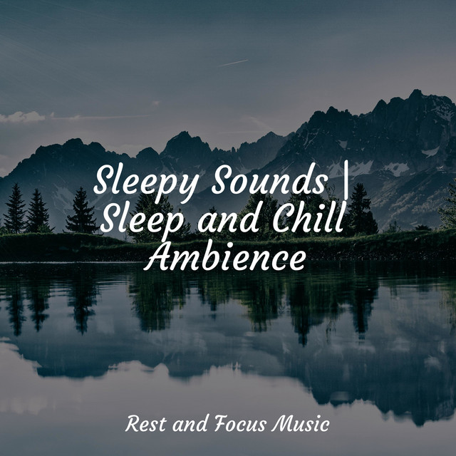 Sleepy Sounds | Sleep and Chill Ambience - Album by Sleep Songs 101 ...